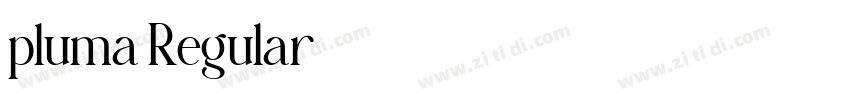 pluma Regular字体转换 pluma Regular字体转换